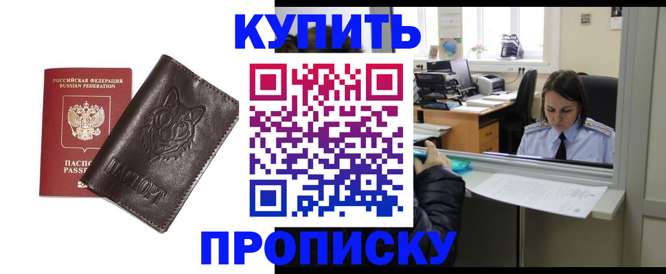 прописка штамп в Бабаево